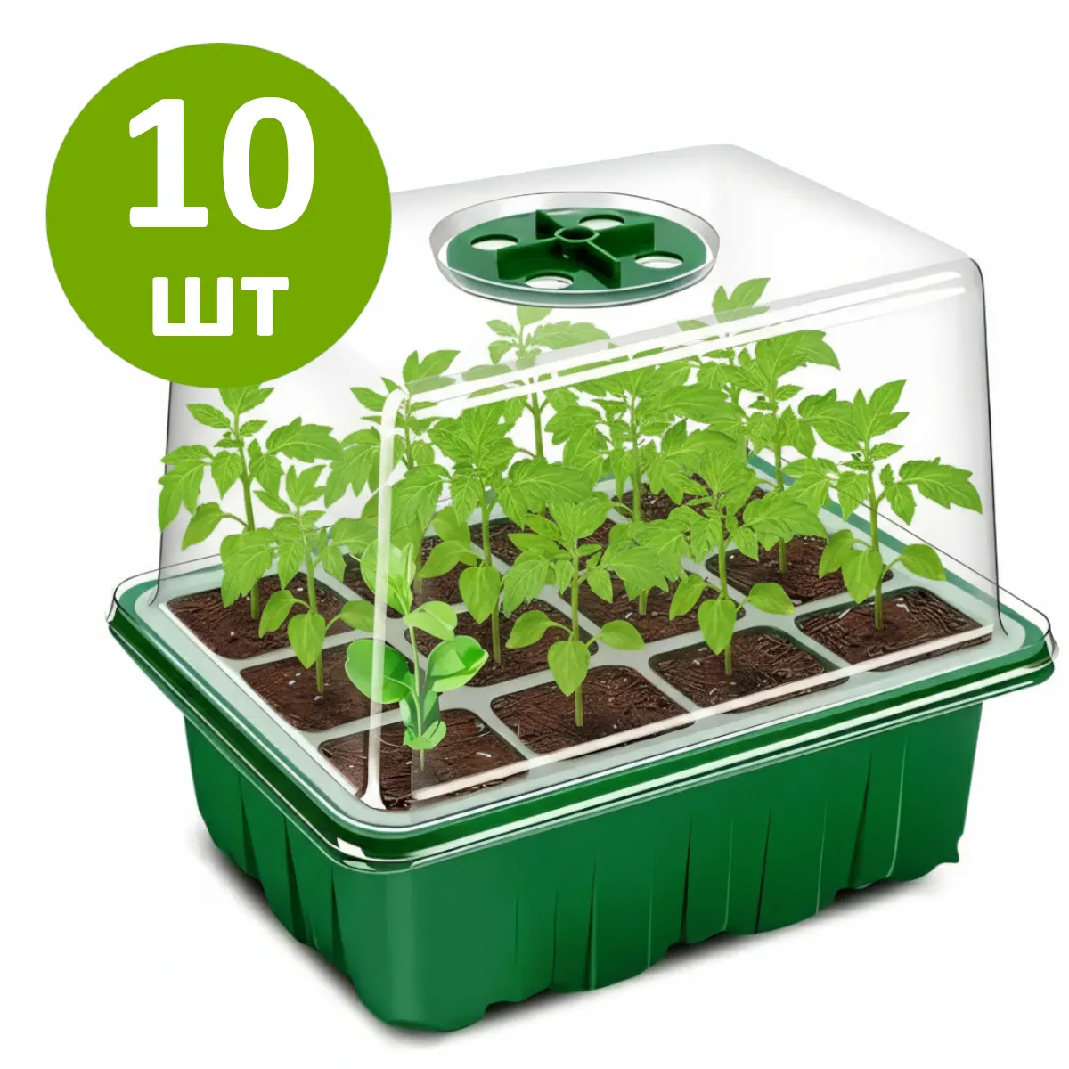 Мини-теплица для рассады 18×14 см на 12 ячеек с крышкой, набор 10 штук