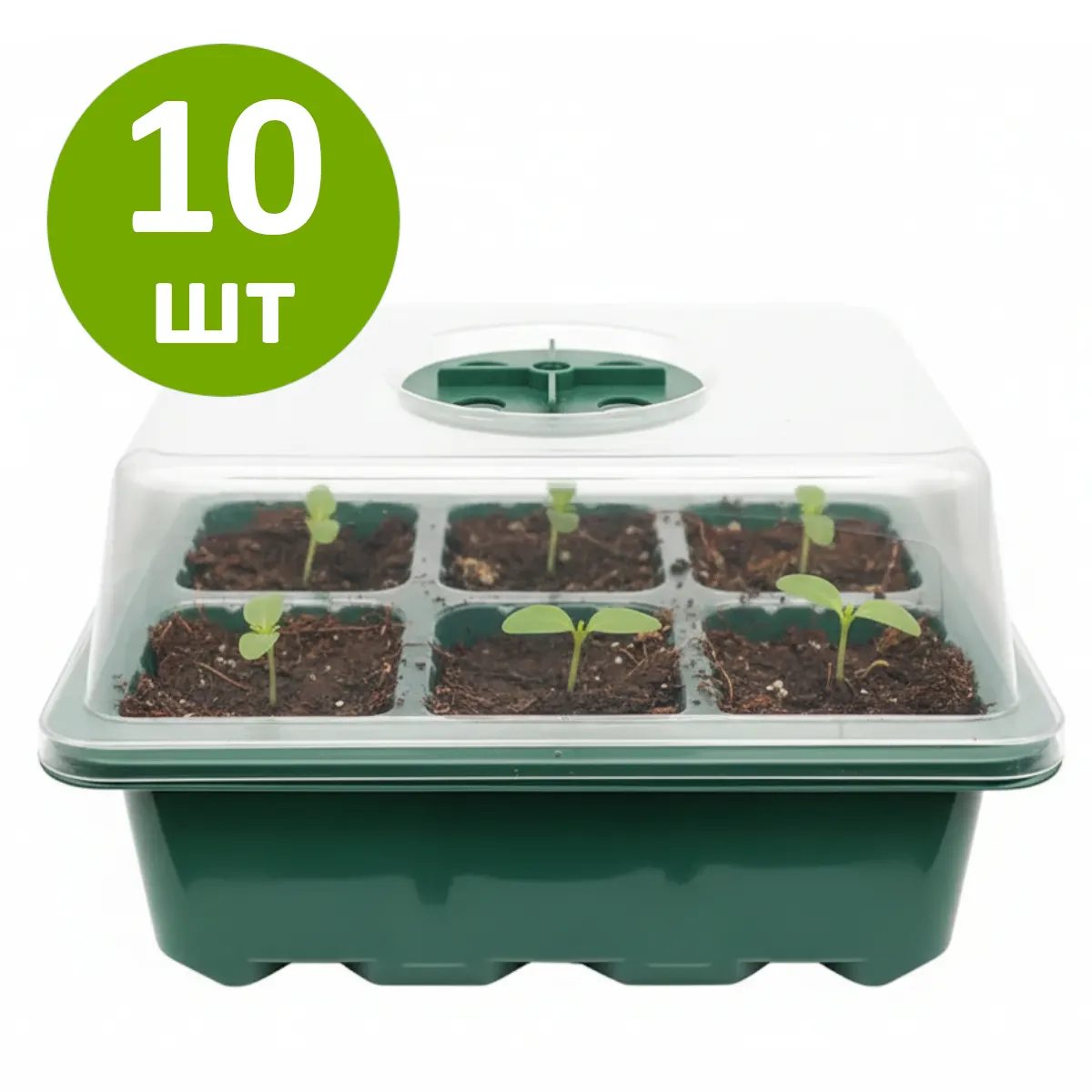 Мини-теплица для рассады 18×14 см на 6 крупных ячеек с крышкой, набор 10 штук